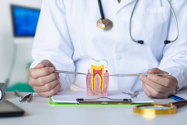Best Emergency Treatment for Toothache in Mounds View, MN